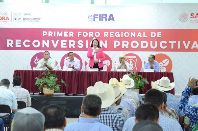 Participan Y Aportan Productores Del Sur De Sonora En El